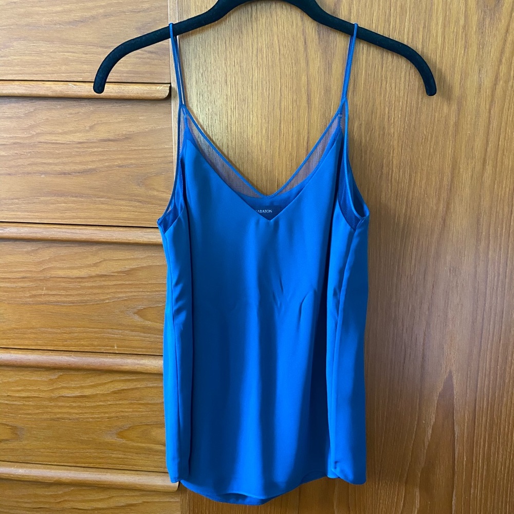 Babaton blue mesh silky blouse